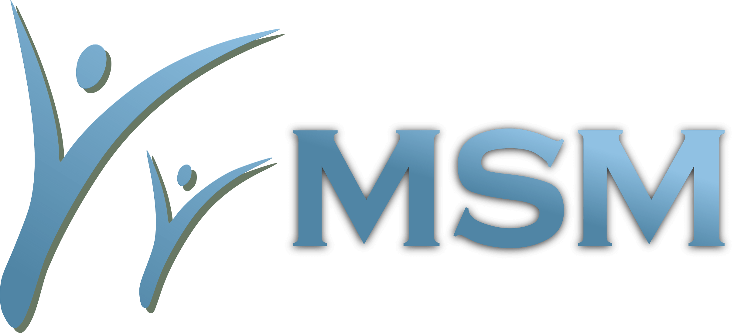 MSM mini logo 2