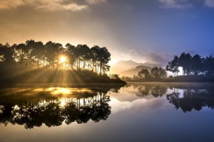 soi ball, the lake, pine forest